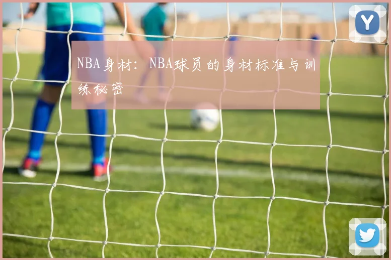 NBA身材：NBA球员的身材标准与训练秘密